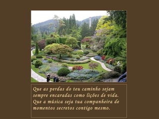 Que as perdas do teu caminho sejam sempre encaradas como lições de vida. Que a música seja tua companheira de momentos secretos contigo mesmo. 