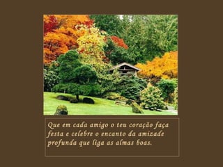 Que em cada amigo o teu coração faça festa e celebre o encanto da amizade profunda que liga as almas boas. 