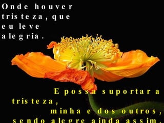 Onde houver tristeza, que eu leve alegria. E possa suportar a tristeza,  minha e dos outros, sendo alegre ainda assim. 