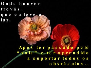 Onde houver trevas,  que eu leve a luz. Após ter passado pelo “vale” e ter aprendido a suportar todos os obstáculos... 