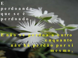 E perdoando que se é perdoado, E não se perdoa a outro  enquanto não há perdão por si mesmo, 