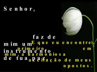 Senhor,  faz de mim um instrumento de tua paz. E que eu encontre primeiro,  em mim, a harmoniosa  aceitação de meus opostos. 