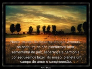 Neste  mundo de desamor em que vivemos,  se cada um de nós plantarmos uma  sementinha de paz, esperança e harmonia, conseguiremos fazer  do nosso  planeta um campo de amor e compreensão. 