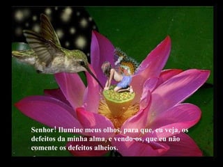 Senhor! Ilumine meus olhos, para que, eu veja, os defeitos da minha alma, e vendo-os, que eu não comente os defeitos alheios. 