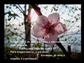 Senhor! Leve de mim a tristeza, e não entregue, a mais ninguém.  Enche, meu coração, com a Fé.  Para sempre louvar, o seu nome.  Arranque, de mim o orgulho, e a presunção. 