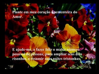 E ajude-me, a fazer feliz o maior número possível de pessoas, para ampliar seus dias risonhos, e resumir suas noites tristonhas. Plante em meu coração a sementeira do Amor. 