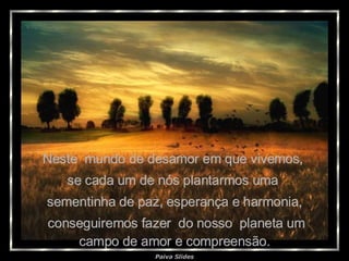 Neste  mundo de desamor em que vivemos,  se cada um de nós plantarmos uma  sementinha de paz, esperança e harmonia, conseguiremos fazer  do nosso  planeta um campo de amor e compreensão. 