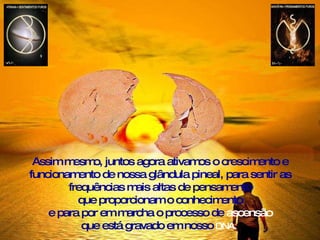 Assim mesmo, juntos agora ativamos o crescimento e funcionamento de nossa glândula pineal, para sentir as frequências mais altas de pensamento que proporcionam o conhecimento e para por em marcha o processo de  ascensão que está gravado em nosso   DNA.   