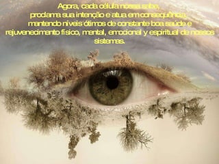 Agora, cada célula nossa sabe,  proclama sua intenção e atua em consequência,  mantendo níveis ótimos de constante boa saúde e rejuvenecimento físico, mental, emocional y espiritual de nossos sistemas. 