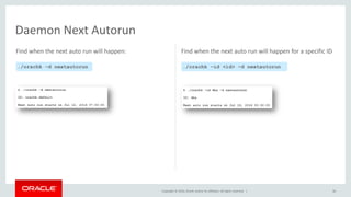 Oracle ORAchk - An Overview Guide to Oracle Stack Health Checks | PDF