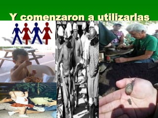 Y comenzaron a utilizarlas 