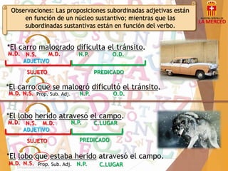 Observaciones: Las proposiciones subordinadas adjetivas están 
en función de un núcleo sustantivo; mientras que las 
subordinadas sustantivas están en función del verbo. 
*El carro malogrado dificulta el tránsito. 
M.D. N.S. M.D. N.P. O.D. 
ADJETIVO 
SUJETO PREDICADO 
*El carro que se malogró dificultó el tránsito. 
M.D. N.S. Prop. Sub. Adj. N.P. O.D. 
*El lobo herido atravesó el campo. 
M.D. N.S. M.D. N.P. C.LUGAR 
ADJETIVO 
SUJETO PREDICADO 
*El lobo que estaba herido atravesó el campo. 
M.D. N.S. Prop. Sub. Adj. N.P. C.LUGAR 
 