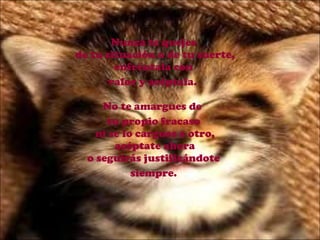 Nunca te quejes  de tu situación o de tu suerte,  enfréntala con  valor y acéptala.  No te amargues de  tu propio fracaso  ni se lo cargues a otro,  acéptate ahora  o seguirás justificándote  siempre. 