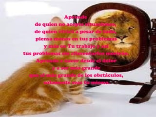 Aprende  de quien no acepta situaciones,  de quien vivirá a pesar de todo,  piensa menos en tus problemas y más en Tu trabajo y así  tus problemas sin alimentarlos morirán. Aprende a nacer desde el dolor y a ser más grande  que el más grande de los obstáculos, solamente seas tu mismo. 