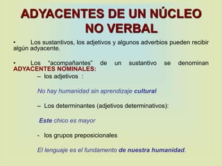 ADYACENTES DE UN NÚCLEO
NO VERBAL
• Los sustantivos, los adjetivos y algunos adverbios pueden recibir
algún adyacente.
• Los “acompañantes” de un sustantivo se denominan
ADYACENTES NOMINALES:
– los adjetivos :
No hay humanidad sin aprendizaje cultural
– Los determinantes (adjetivos determinativos):
Este chico es mayor
- los grupos preposicionales
El lenguaje es el fundamento de nuestra humanidad.
 