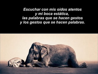 Escuchar con mis oidos atentos y mi boca estática,  las palabras que se hacen gestos y los gestos que se hacen palabras. 