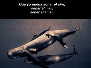 Que yo pueda soñar el aire, soñar el mar, soñar el amar. 