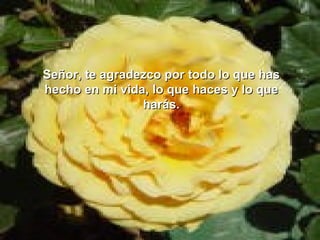 Señor, te agradezco por todo lo que has
hecho en mi vida, lo que haces y lo que
                harás.
 