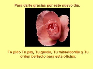 Para darte gracias por este nuevo día.




Te pido Tu paz, Tu gracia, Tu misericordia y Tu
       orden perfecto para esta oficina.
 