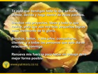 Te pido que bendigas todo lo que se hable,
piense, decida y haga dentro de estas paredes.

Bendice mis proyectos, ideas y todo lo que
realice, para que aún mis más pequeños logros
sean testimonio de tu gloria.

Bendice, Señor, a mis jefes, compañeros,
clientes, y a todas las personas que este día se
relacionen conmigo.

Renueva mis fuerzas para hacer mi trabajo de la
mejor forma posible.
 
