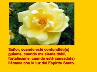 Señor, cuando esté confundido(a)
guíame, cuando me sienta débil,
fortaléceme, cuando esté cansado(a)
lléname con la luz del Espíritu Santo.
 