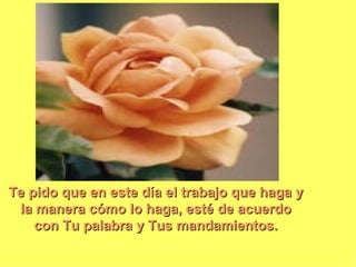Te pido que en este día el trabajo que haga y
 la manera cómo lo haga, esté de acuerdo
    con Tu palabra y Tus mandamientos.
 