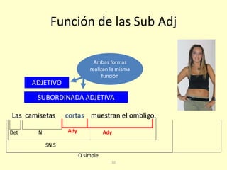 30
Función de las Sub Adj
Las camisetas muestran el ombligo.cortas
ADJETIVO
SN S
O simple
Det N Ady
SUBORDINADA ADJETIVA
Ady
Ambas formas
realizan la misma
función
 