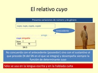 40
El relativo cuyo
Sólo se usa en la lengua escrita y en la hablada culta
No concuerda con el antecedente (poseedor) sino con el sustantivo al
que precede (N del SN en el que se integra) y desempeña siempre la
función de determinante suyo
Presenta variaciones de número y de género
cuyo, cuya, cuyos, cuyas
Me gusta charlar con mi amigo Jose Antonio,
cuya simpatía está fuera de dudas
Antecedente
Det N
Nexo
SN S
 