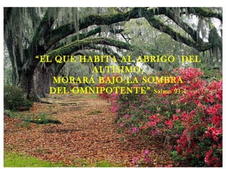“ EL QUE HABITA AL ABRIGO  DEL ALTÍSIMO, MORARÁ BAJO LA SOMBRA DEL OMNIPOTENTE”  Salmo 91:1 