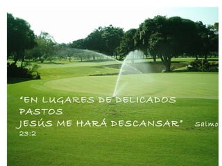 “ EN LUGARES DE DELICADOS PASTOS JESÚS ME HARÁ DESCANSAR”   Salmo 23:2 