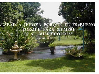 “ ALABAD  A  JEHOVÁ  PORQUE  ÉL  ES  BUENO, PORQUE  PARA  SIEMPRE  ES  SU  MISERICORDIA”  Salmo 136:1 