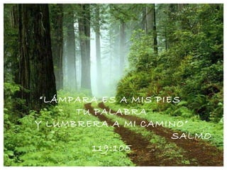“ LÁMPARA ES A MIS PIES  TU PALABRA Y LUMBRERA A MI CAMINO” SALMO 119:105 