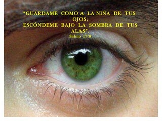 “ GUÁRDAME  COMO A  LA NIÑA  DE  TUS  OJOS; ESCÓNDEME  BAJO  LA  SOMBRA  DE  TUS ALAS”. Salmo 17:8 