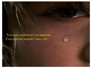 “ Los que sembraron con lágrimas, Con regocijo segarán”  Salmo 126:5 