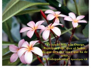 “ Yo soy el Alfa y la Omega, Principio y fin, dice el Señor, El que es y que era y que ha de venir, El Todopoderoso”  Apocalipsis 1:8 