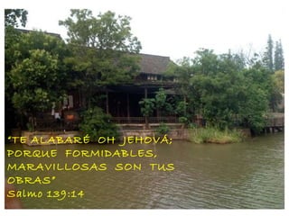 “ TE ALABARÉ  OH  JEHOVÁ;  PORQUE  FORMIDABLES,  MARAVILLOSAS  SON  TUS  OBRAS” Salmo 139:14 