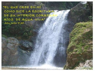 “ EL QUE CREE EN MÍ  COMO DICE LA ESCRITURA, DE SU INTERIOR CORRERÁN  RÍOS  DE AGUA  VIVA”  San Juan 7:38 