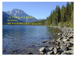 “ JUNTO A AGUAS DE REPOSO, ME PASTOREARÁ”   Salmo 23:2 