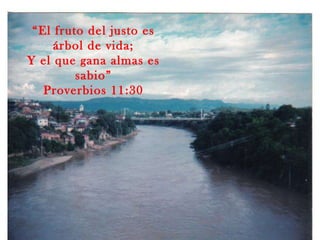 “ El fruto del justo es árbol de vida; Y el que gana almas es sabio” Proverbios 11:30 