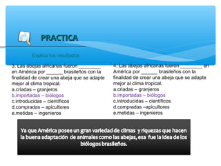 PRACTICA
         Explica los resultados

3. Las abejas africanas fueron ________      4. Las abejas africanas fueron ________ en
en América por ______ brasileños con la      América por ______ brasileños con la
finalidad de crear una abeja que se adapte   finalidad de crear una abeja que se adapte
mejor al clima tropical.                     mejor al clima tropical.
a.criadas – granjeros                        a.criadas – granjeros
b.importadas – biólogos                      b.importadas – biólogos
c.introducidas – científicos                 c.introducidas – científicos
d.compradas – apicultores                    d.compradas –apicultores
e.metidas – ingenieros                       e.metidas – ingenieros
 