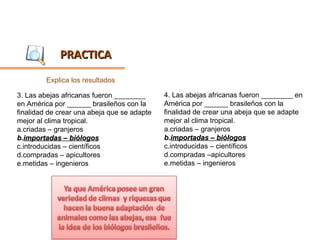 PRACTICA
         Explica los resultados

3. Las abejas africanas fueron ________      4. Las abejas africanas fueron ________ en
en América por ______ brasileños con la      América por ______ brasileños con la
finalidad de crear una abeja que se adapte   finalidad de crear una abeja que se adapte
mejor al clima tropical.                     mejor al clima tropical.
a.criadas – granjeros                        a.criadas – granjeros
b.importadas – biólogos                      b.importadas – biólogos
c.introducidas – científicos                 c.introducidas – científicos
d.compradas – apicultores                    d.compradas –apicultores
e.metidas – ingenieros                       e.metidas – ingenieros
 