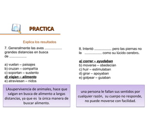 PRACTICA

             Explica los resultados
7. Generalmente las aves ..................   8. Intentó .................. pero las piernas no
grandes distancias en busca                   le .................. como su lúcido cerebro.
de ..................
                                              a) correr – ayudaban
a) vuelan – paisajes                          b) moverse – obedecían
b) cruzan – compañía                          c) huir – estimulaban
c) soportan – sustento                        d) girar – apoyaban
d) viajan – alimento                          e) golpear – guiaban
e) atraviesan – nidos

 LAsupervivencia de animales, hace que
                                                una persona le fallan sus sentidos por
  salgan en busca de alimento a largas
distancias, ya que es la única manera de      cualquier razón, su cuerpo no responde,
                                                  no puede moverse con facilidad.
             buscar alimento.
 