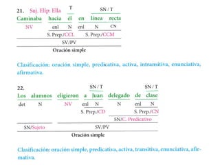 CN
SN / TT
SN / T SN / T
