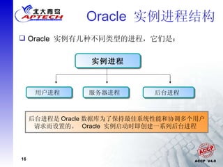 Oracle  实例进程结构 Oracle  实例有几种不同类型的进程，它们是：  实例进程 用户进程  服务器进程  后台进程  用户进程是一个需要与 Oracle 服务器进行交互的程序。当用户运行一个应用程序准备向数据库服务器发送请求时，即创建了用户进程 服务器进程用于处理连接到该实例的用户进程的请求。当用户连接至  Oracle  数据库实例创建会话时，即产生服务器进程  后台进程是 Oracle 数据库为了保持最佳系统性能和协调多个用户请求而设置的。  Oracle  实例启动时即创建一系列后台进程  