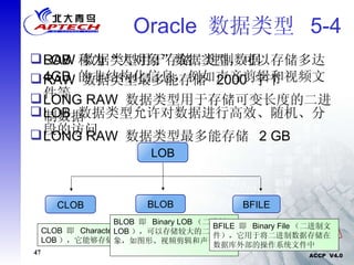Oracle  数据类型  5-4 RAW  数据类型用于存储二进制数据 RAW  数据类型最多能存储  2000  字节 LONG RAW  数据类型用于存储可变长度的二进制数据 LONG RAW  数据类型最多能存储  2 GB LOB LOB  称为“大对象”数据类型，可以存储多达  4GB  的非结构化信息，例如声音剪辑和视频文件等 LOB  数据类型允许对数据进行高效、随机、分段的访问 BLOB CLOB BFILE CLOB  即  Character LOB （字符  LOB ），它能够存储大量字符数据 BLOB  即  Binary LOB （二进制  LOB ），可以存储较大的二进制对象，如图形、视频剪辑和声音文件  BFILE  即  Binary File （二进制文件），它用于将二进制数据存储在数据库外部的操作系统文件中 