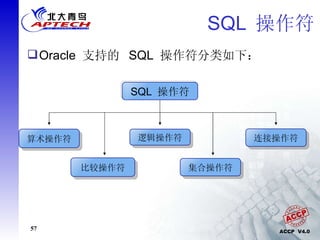 SQL  操作符 SQL  操作符 集合操作符 逻辑操作符 比较操作符 算术操作符 连接操作符 Oracle  支持的  SQL  操作符分类如下： 