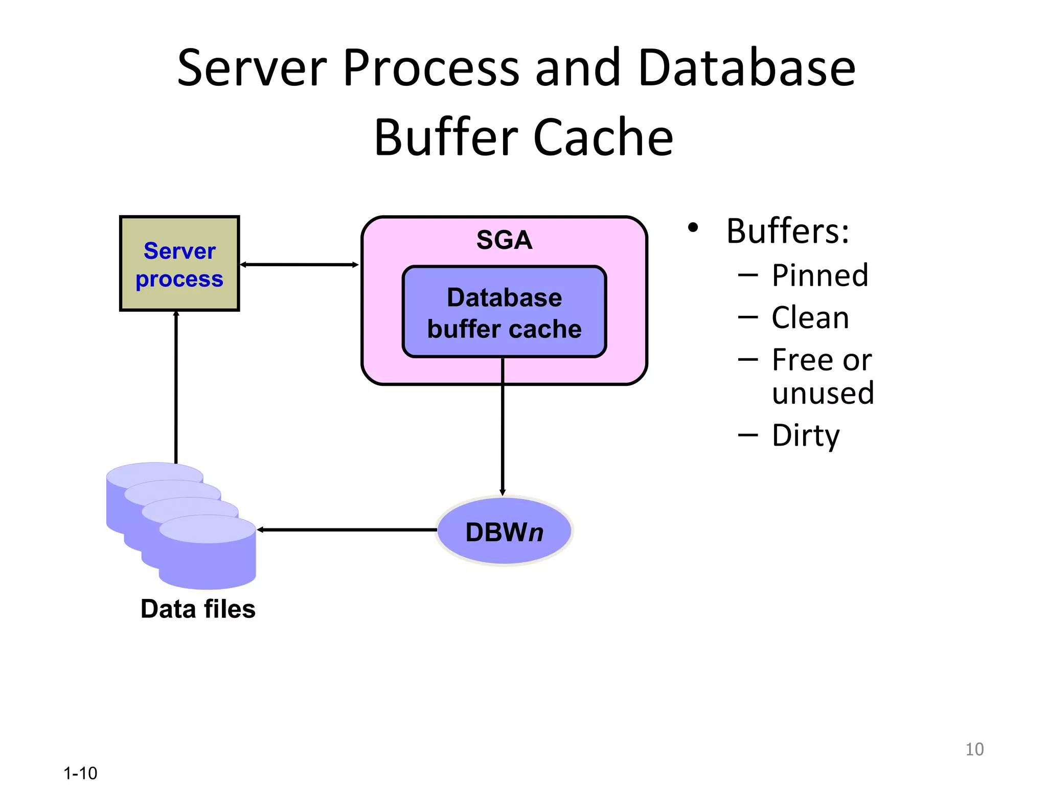 Server Process and Database  Buffer Cache Buffers: Pinned Clean Free or unused Dirty Server process SGA Database buffer cache Data files DBW n 
