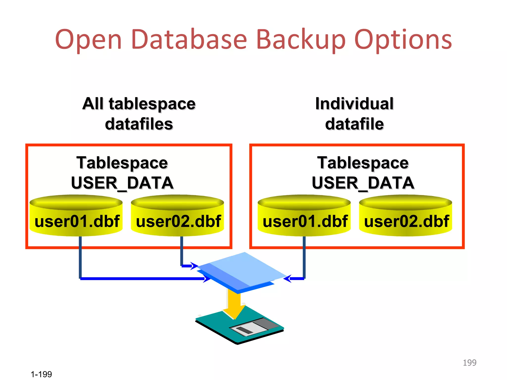 Open Database Backup Options All tablespace datafiles Tablespace USER_DATA user02.dbf user01.dbf Individual datafile user02.dbf Tablespace USER_DATA user01.dbf 