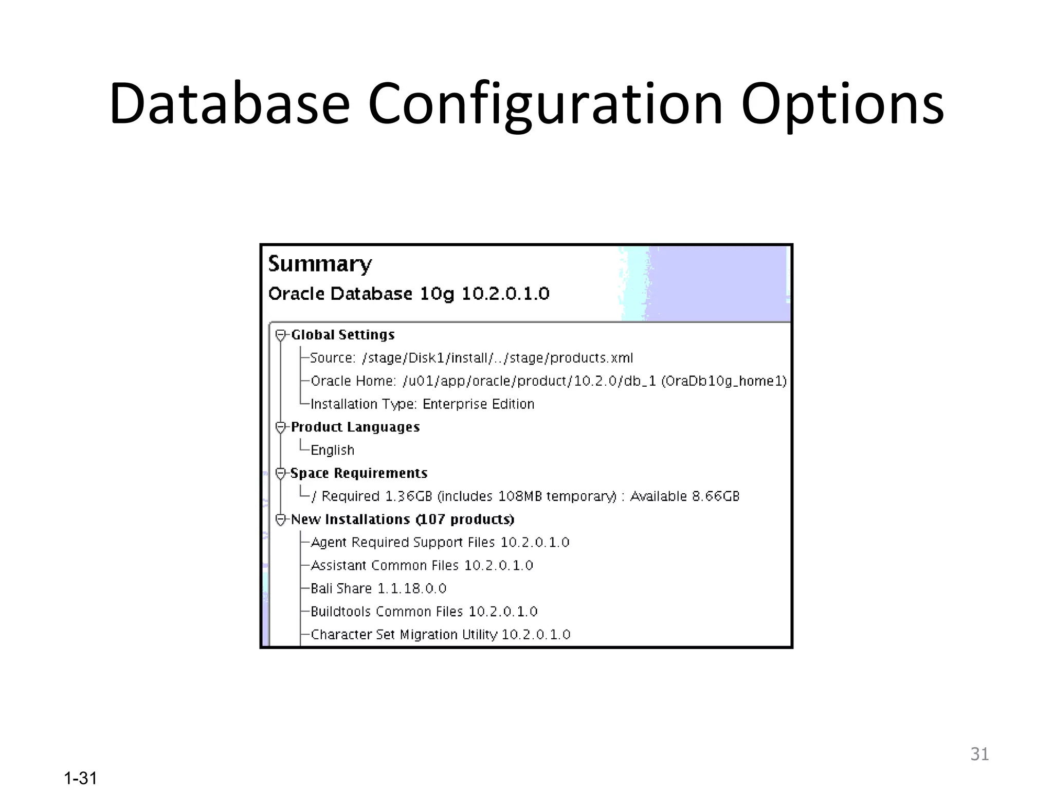 Database Configuration Options 