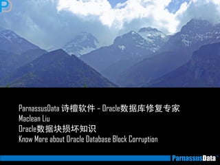 ParnassusData 诗檀软件 – Oracle数据库修复专家
Maclean Liu
Oracle数据块损坏知识
Know More about Oracle Database Block Corruption
 